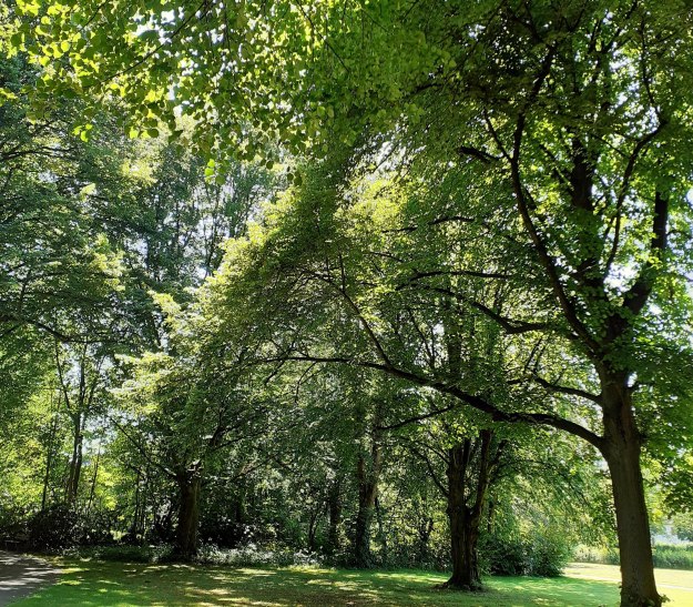 Waldweg 2 Waldweg 2