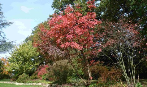 Schlosspark