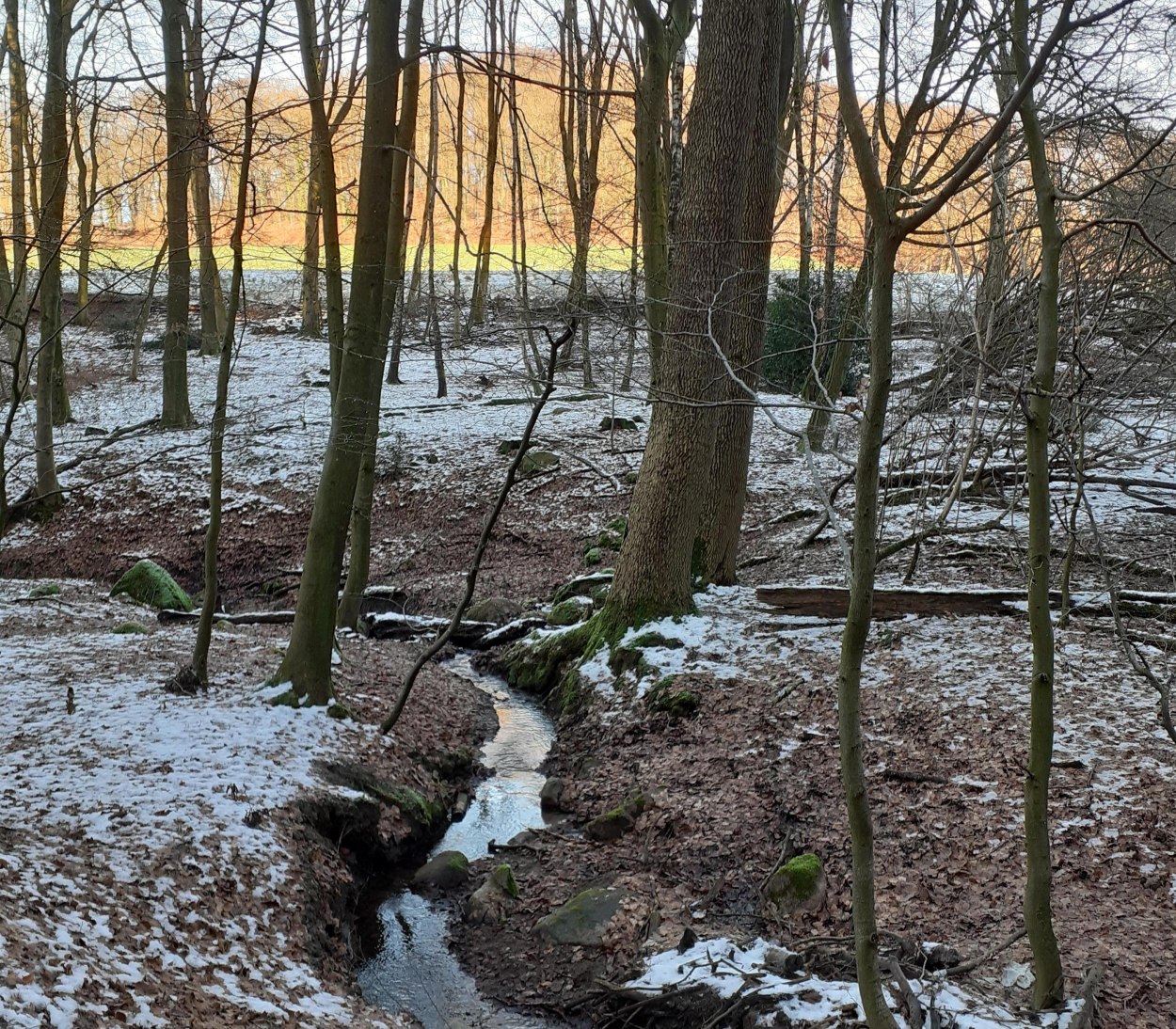 20250119_103021 20250119_103021