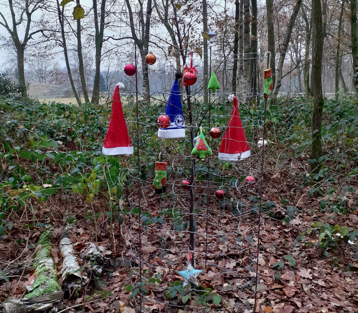 20221212_155131 20221212_155131