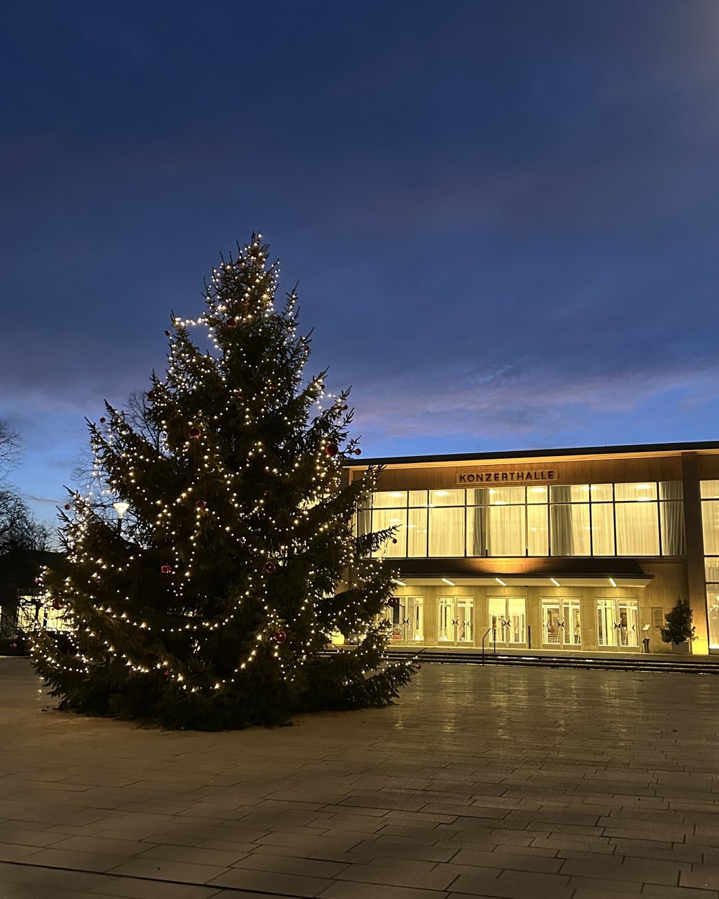 Weihnachtsbaum mit Lichterketten vor beleuchteter Konzert- und Veranstaltungshalle bei Abendd&auml;mmerung