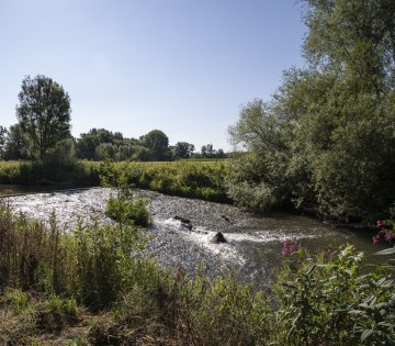 Naturschutz, © Jan Voth