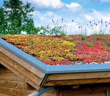 Das Bild zeigt ein begrüntes Dach auf einem Holzhaus., © Stefan Körber - stock.adobe.com
