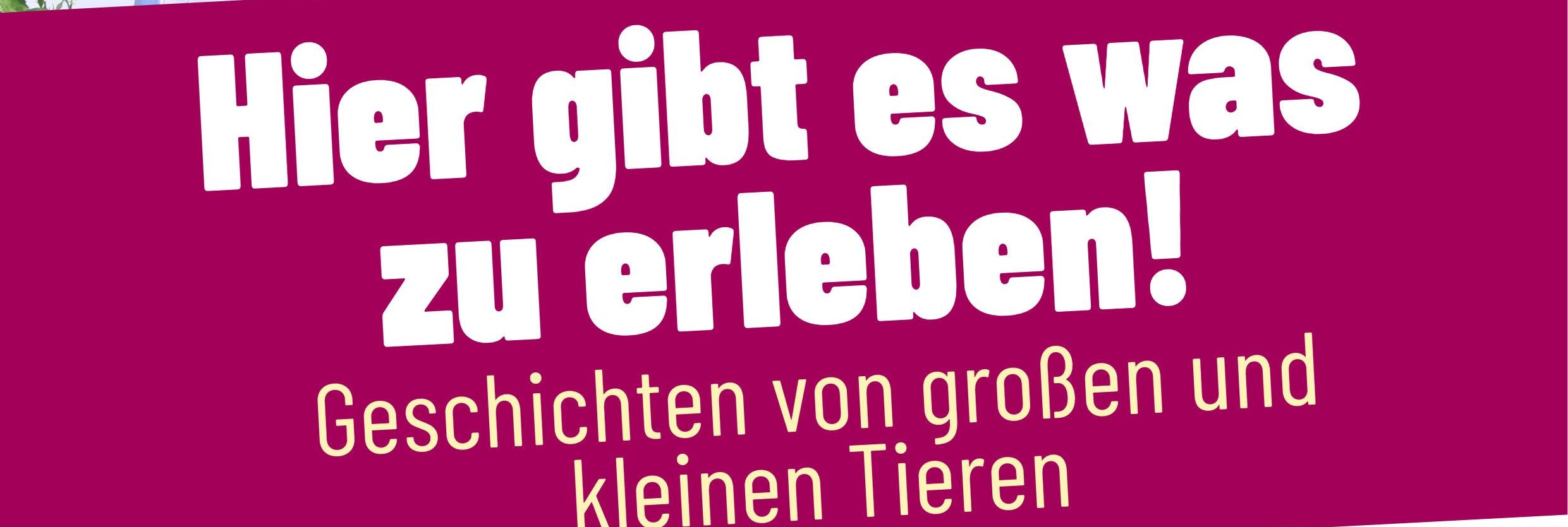 Heerser Mühhle Plakat A 4-25. Mai Tiere