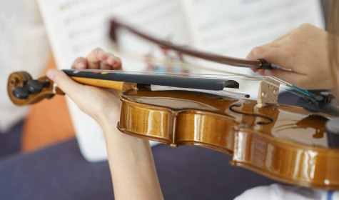 Violine, &copy; stock.adobe.com | tarafoto