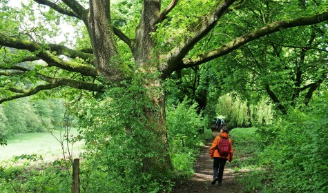 Karl-Bachler-Weg