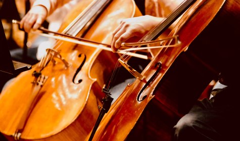 Violoncello, &copy; stock.adobe.com | blumenblueten