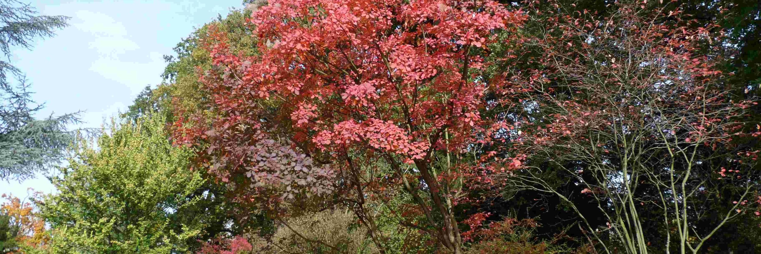 Schlosspark