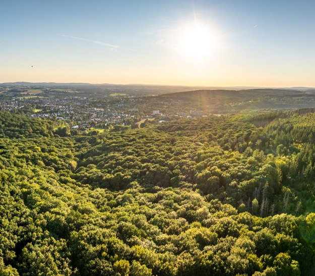 Stadt-Bad-Salzuflen-H&uuml;hnerwiem-Teutoburger-Wald-D-Ketz-001, &copy; Stadt Bad Salzuflen / D. Ketz