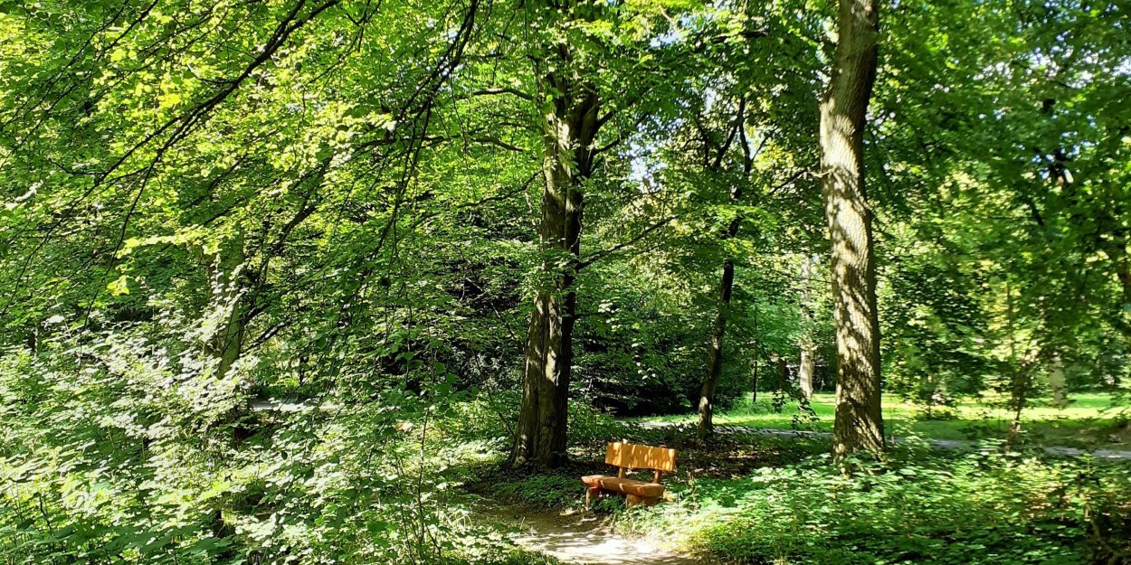 Waldweg Waldweg