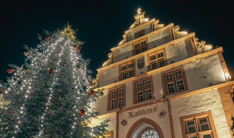 Historisches Rathaus mit festlich geschmücktem Tannenbaum., © Jan Voth