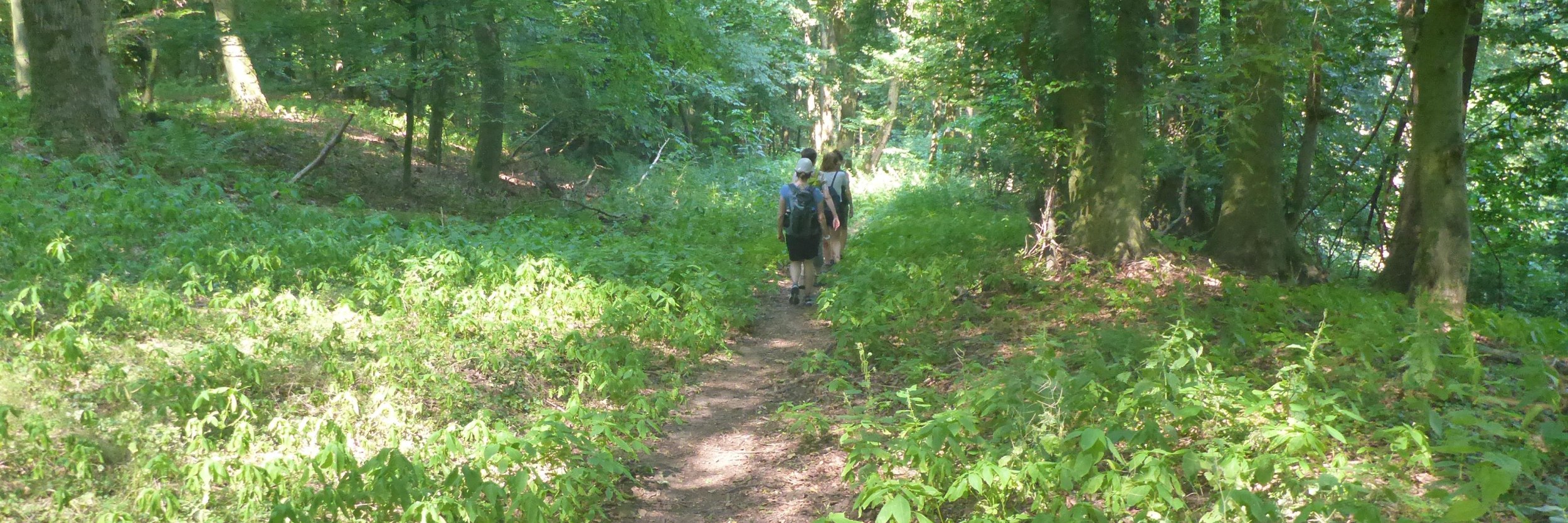 06 After Work P1110278