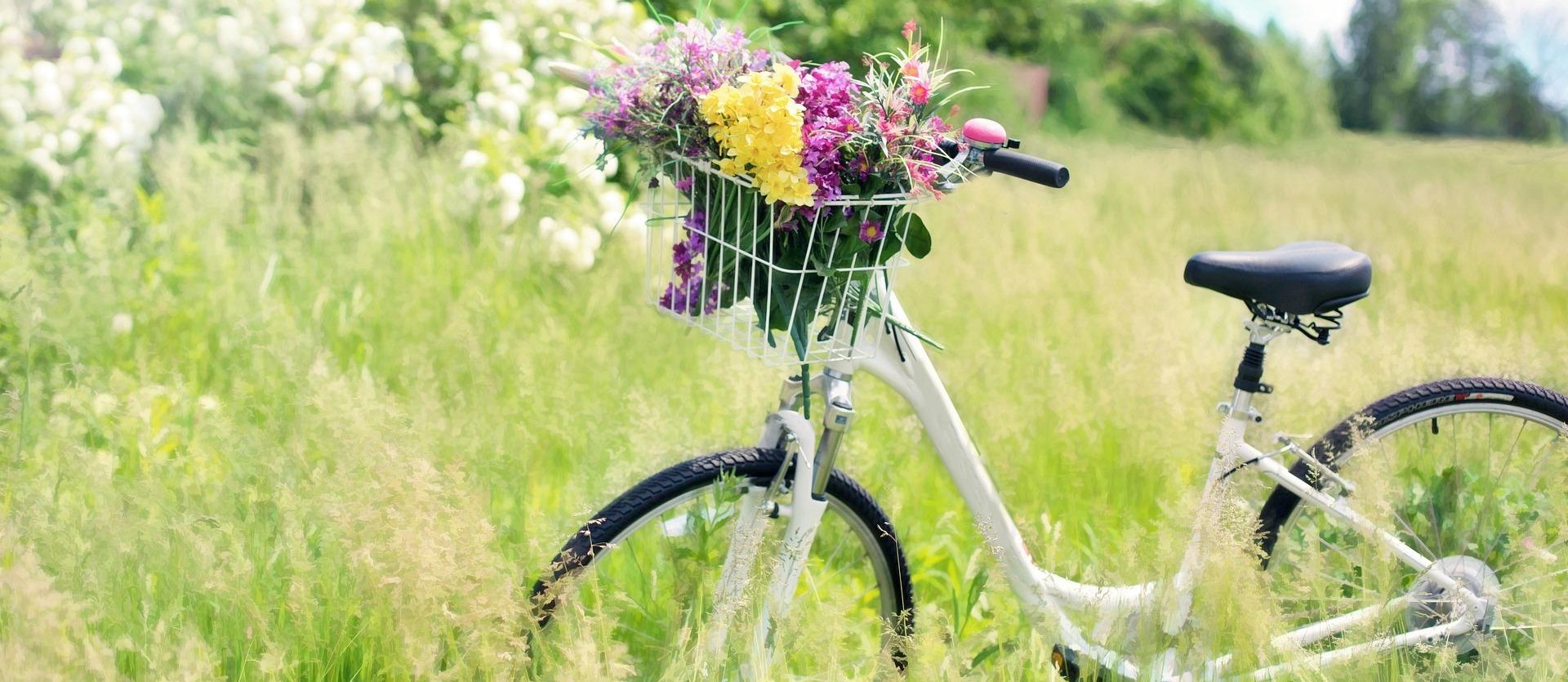 Fahrrad mit Blumen, &copy; Jill Wellington/Pixabay