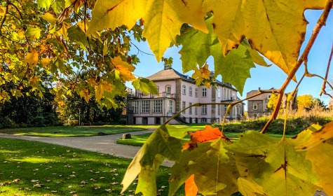 Musikschule Herbstferien, &copy; Musikschule Bad Salzuflen