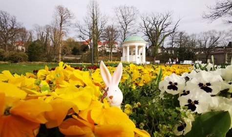 Wer für das kommende lange Osterwochenende noch ein Ausflugsziel sucht, kann sich im Kurpark von Bad Salzuflen auf frühlingshafte Blumenpracht, Strandkörbe, Baumelbänke und schöne Angebote freuen. , © Stadt Bad Salzuflen / D. Halgmann-Bole