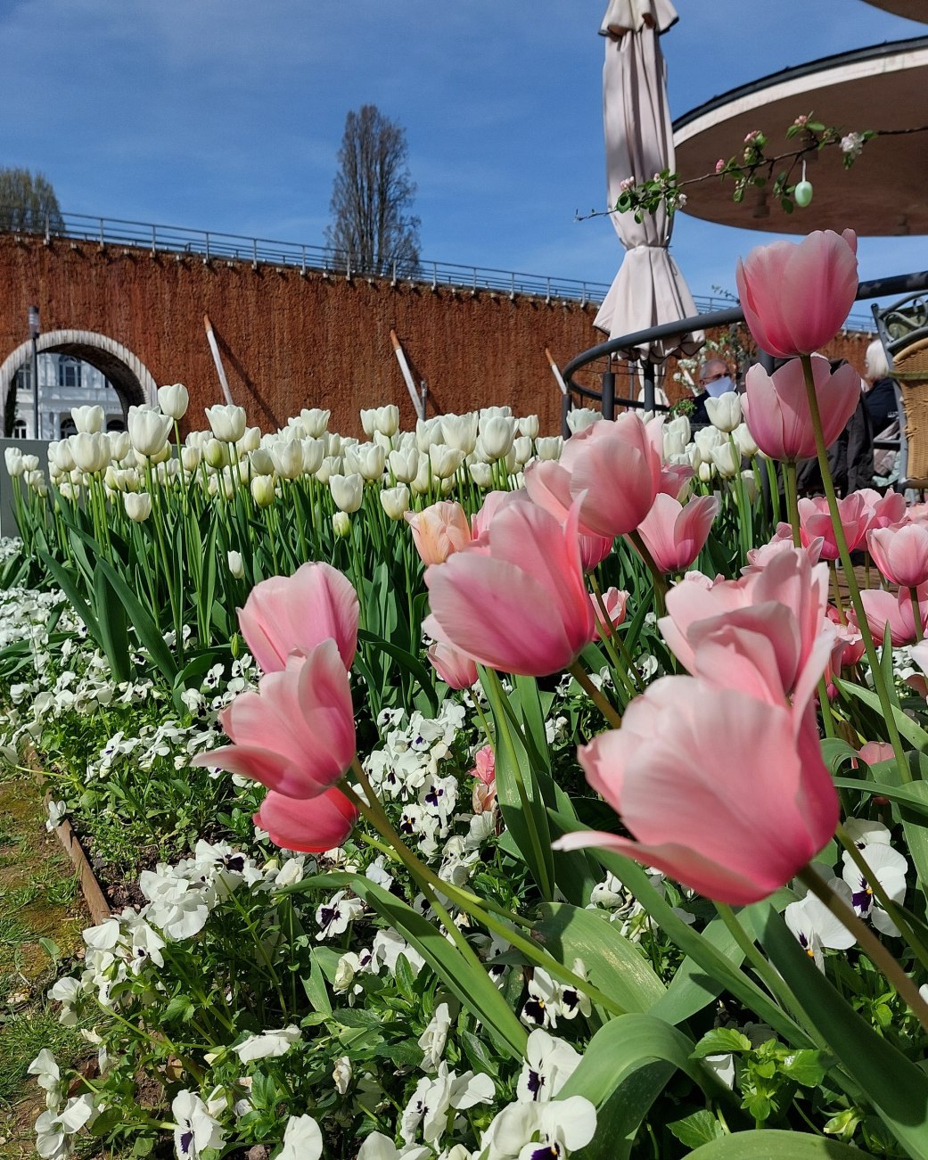 Tulpen am Salinencafe mit Blick auf die Bogen&ouml;ffnung des Gradierwerks am Rosengarten, &copy; Stadt Bad Salzuflen