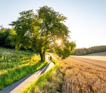 Landschaftsaufnahme über Feld, Wald und Wiesen von Bad Salzuflen im Ortsteil Wüsten. Mittig im Bild führt ein Weg entlang, auf dem 2 Wanderer gehen. Die Sonne geht langsam unter., © ©Stadt Bad Salzuflen / Teutoburger Wald / D. Ketz Landschaftsaufnahme über Feld, Wald und Wiesen von Bad Salzuflen im Ortsteil Wüsten. Mittig im Bild führt ein Weg entlang, auf dem 2 Wanderer gehen. Die Sonne geht langsam unter.