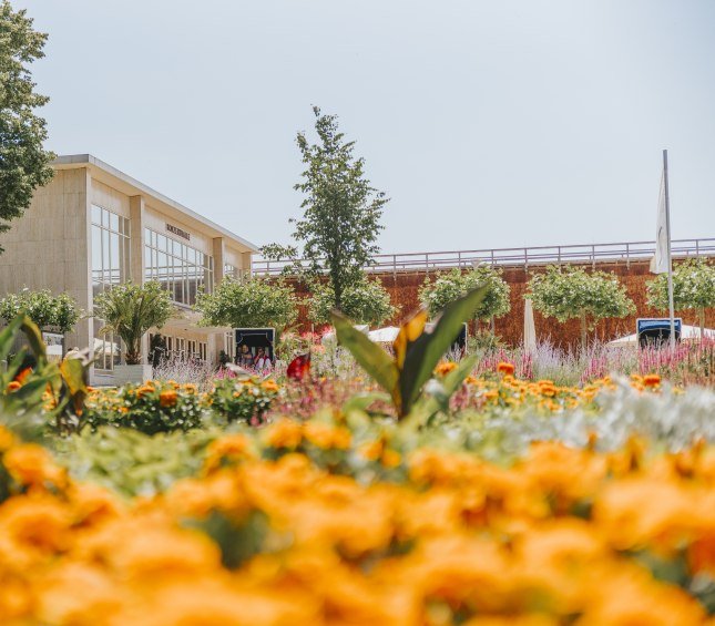 Zu sehen ist ein Foto der Konzerthalle, das aus dem Kurpark heraus aufgenommen wurde. Daher sind im Vordergrund des Bildes prächtige gelbe Blüten zu sehen und im Hintergrund die Konzerthalle., © Stadt Bad Salzuflen/M. Adamski