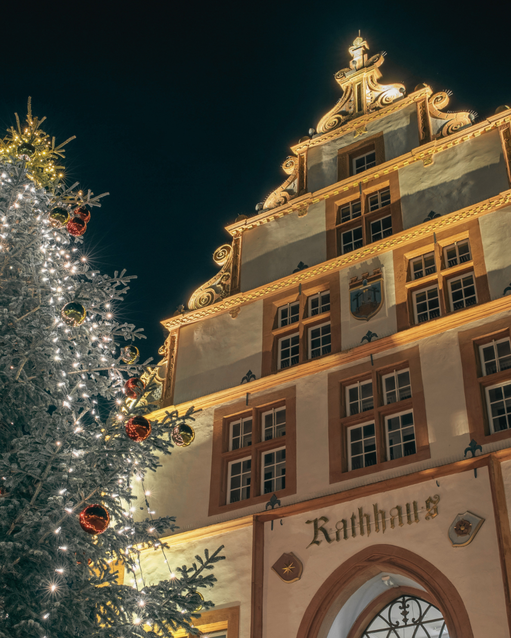Historisches Rathaus mit festlich geschmücktem Tannenbaum., © Jan Voth