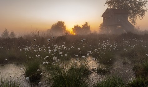 Ausgew&auml;hlte Naturfotografien wie &bdquo;Moore als Wasserspeicher&ldquo; von der Fotografin Ulrike Kr&uuml;ger sind ab 02. November 2026 in der Wandelhalle Bad Salzuflen bei der neuen Sonderausstellung des Umweltzentrums Heerser M&uuml;hle zu bestaunen und zu entdecken, &copy; Ulrike Kr&uuml;ger