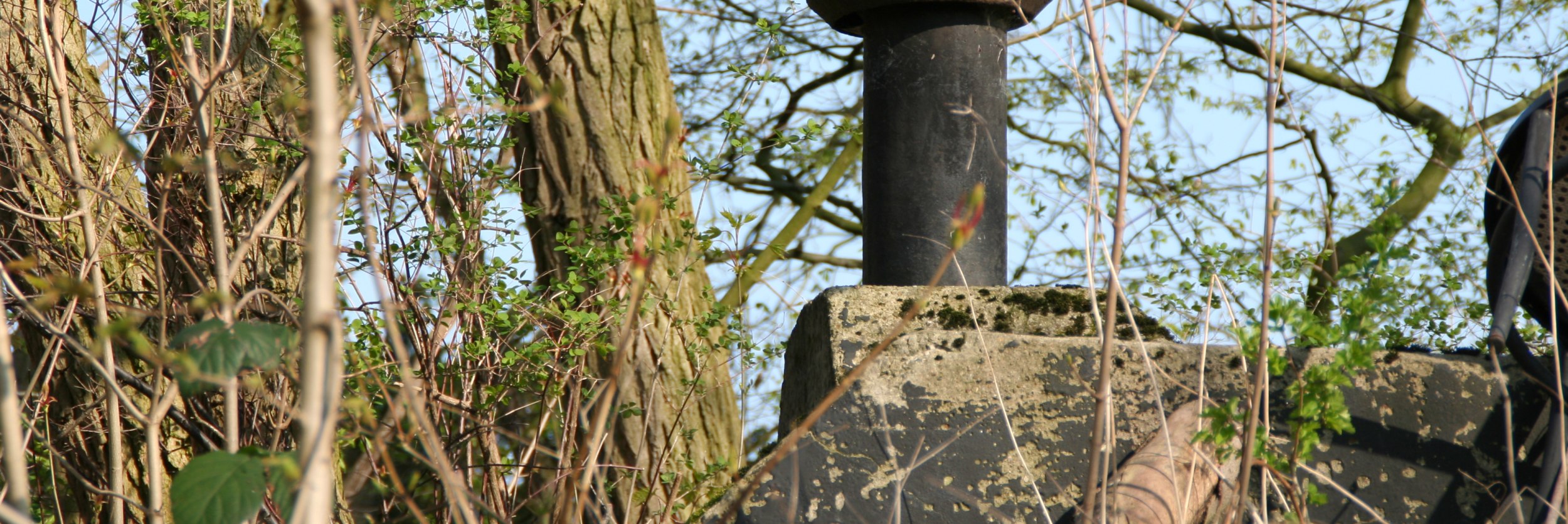 staatsbad-salzuflen_neu-brunnen-aktuell, © S. MIrbach staatsbad-salzuflen_neu-brunnen-aktuell, © S. MIrbach