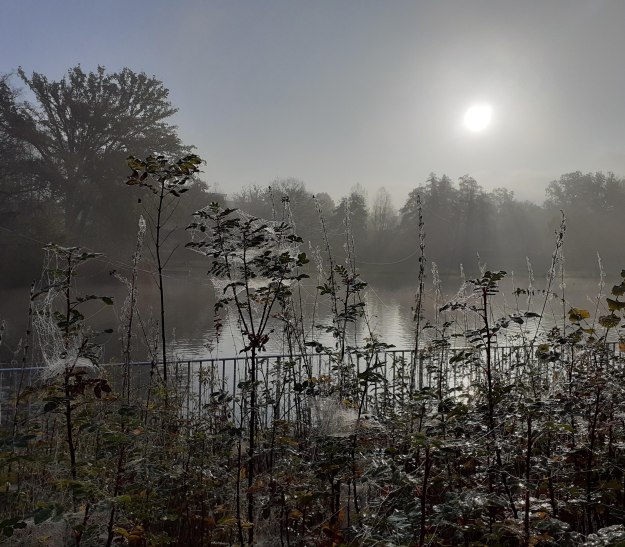 20201110_093325 20201110_093325