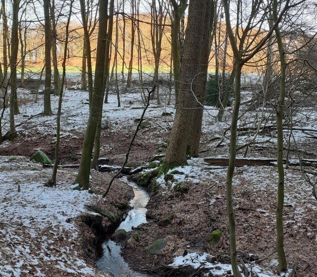 20250119_103021 20250119_103021