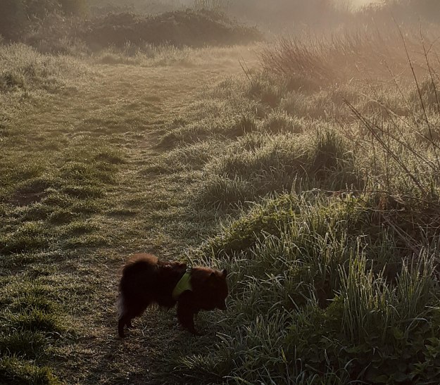 20250420_072135 - Kopie 20250420_072135 - Kopie