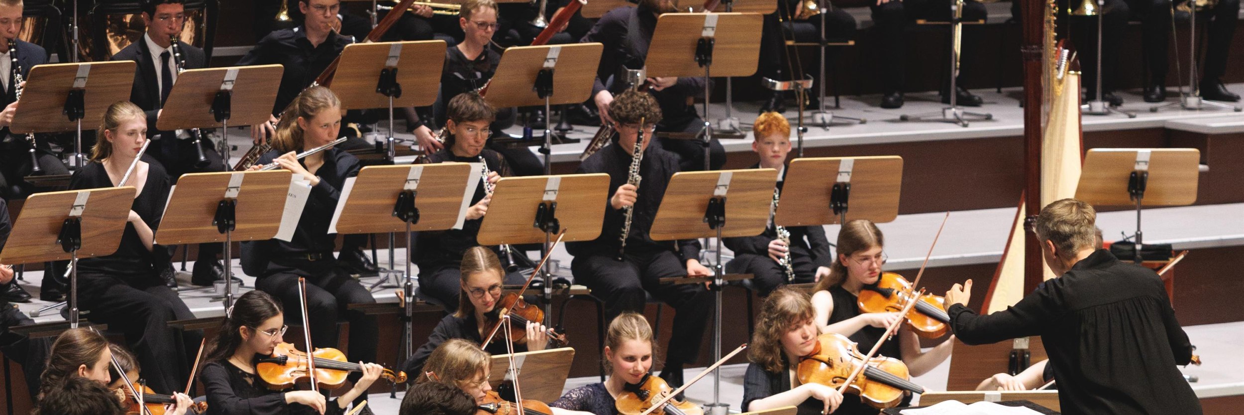 JUNGE SINFONIKER OWL, &copy; Marc Wellmann