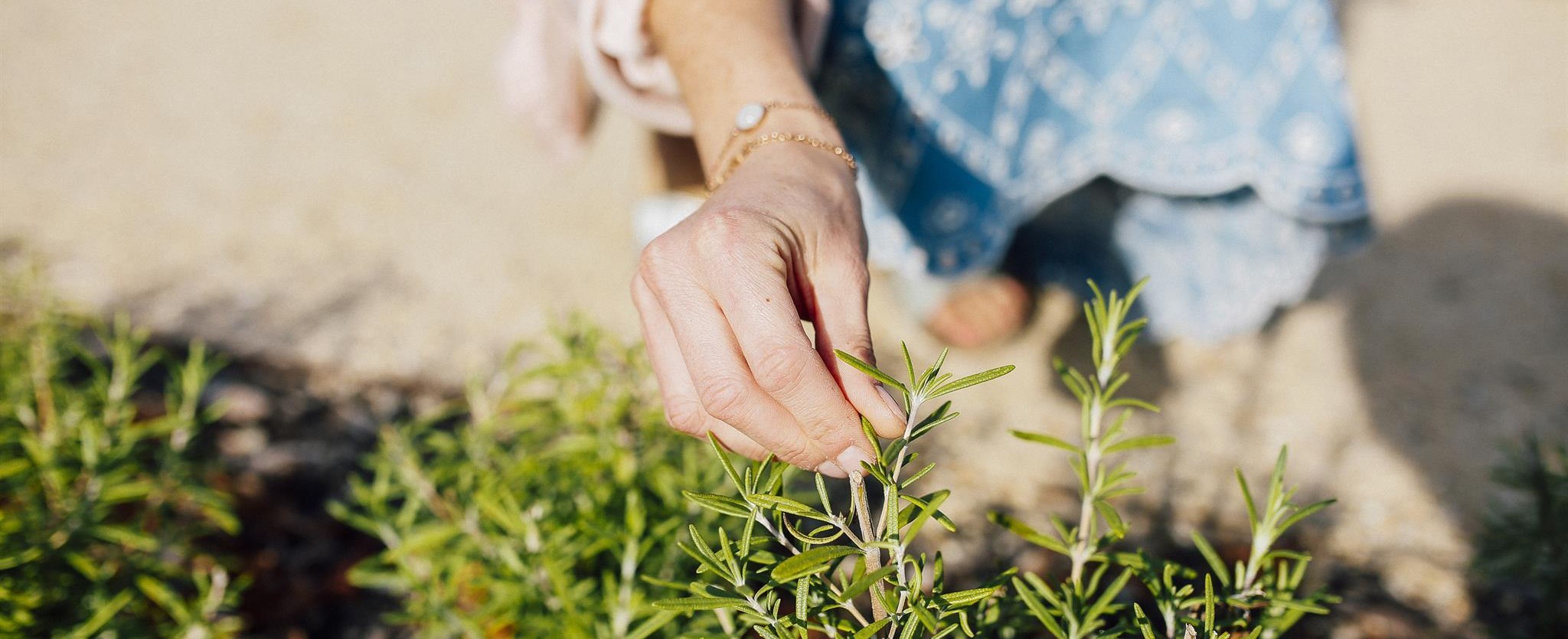 Staatsbad Salzuflen_Pflanze berühren_1_, © Stadt Bad Salzuflen / S.Strothbäumer Staatsbad Salzuflen_Pflanze berühren_1_, © Stadt Bad Salzuflen / S.Strothbäumer