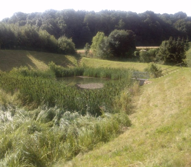 Hochwasserrückhaltebecken in der Waldemeine, © Stadt Bad Salzuflen