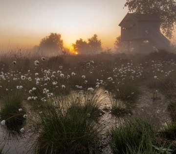 Ausgew&auml;hlte Naturfotografien wie &bdquo;Moore als Wasserspeicher&ldquo; von der Fotografin Ulrike Kr&uuml;ger sind ab 02. November 2026 in der Wandelhalle Bad Salzuflen bei der neuen Sonderausstellung des Umweltzentrums Heerser M&uuml;hle zu bestaunen und zu entdecken, &copy; Ulrike Kr&uuml;ger