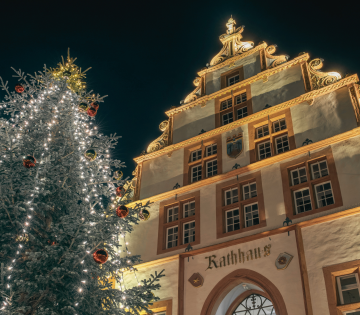 Historisches Rathaus mit festlich geschmücktem Tannenbaum., © Jan Voth