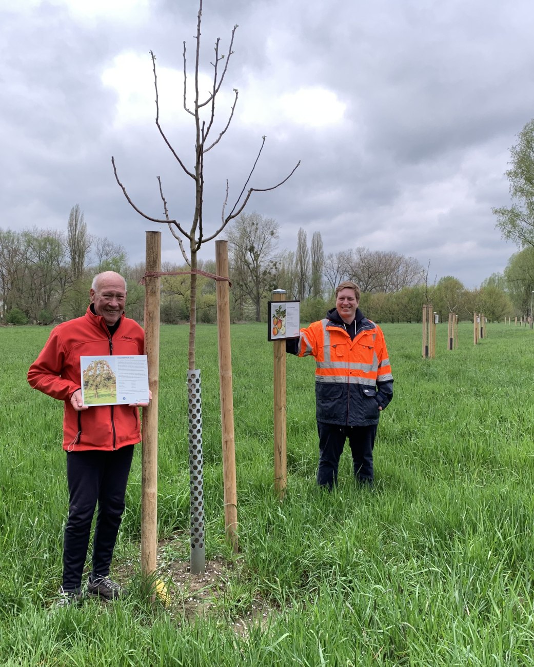 Zwei Männer stehen in den Hoffmanns Wiesen bei den im Rahmen der Aktion Stadtradeln neu gepflanzten Obstbäumen, © Stadt Bad Salzuflen